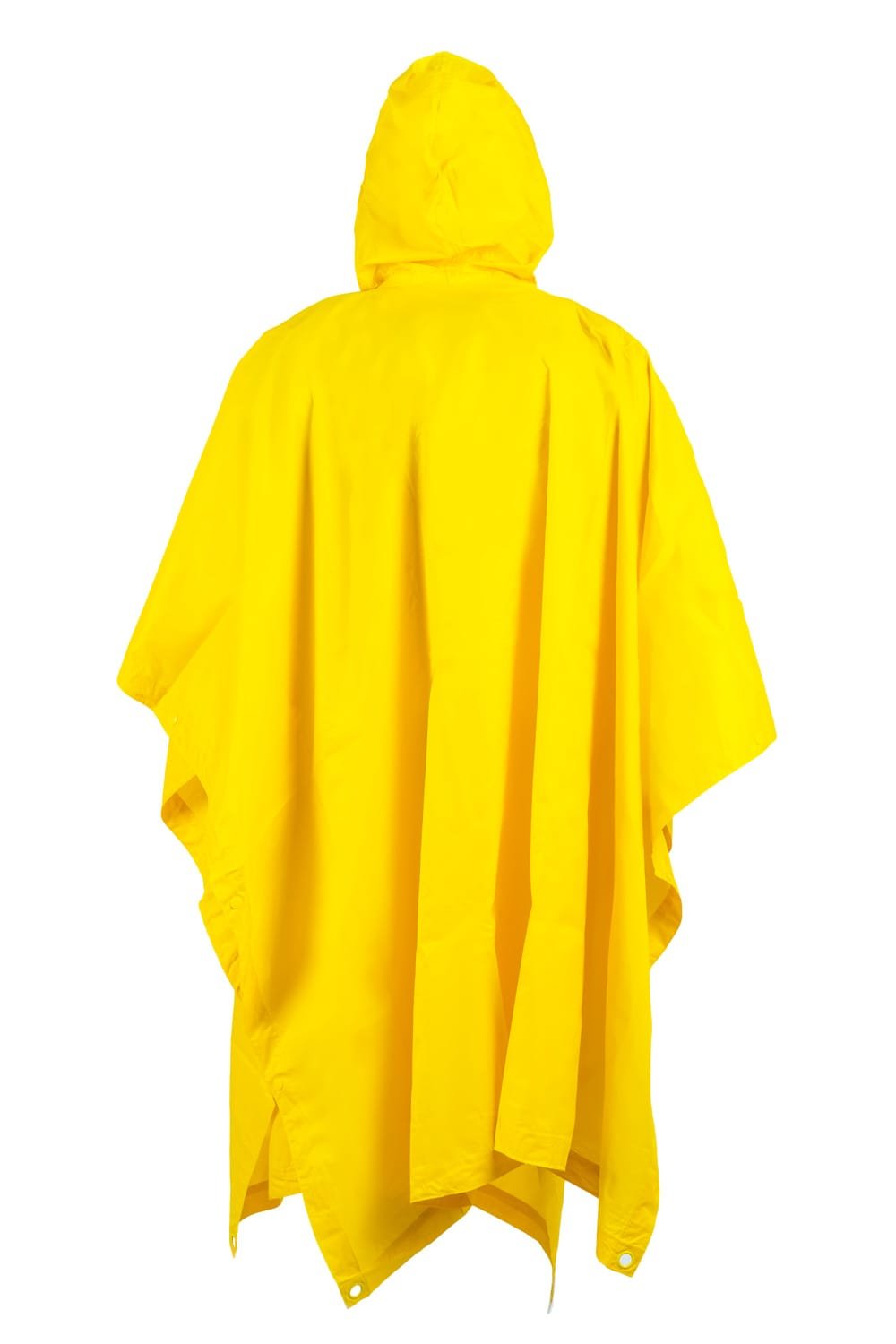 Norris Yellow Back